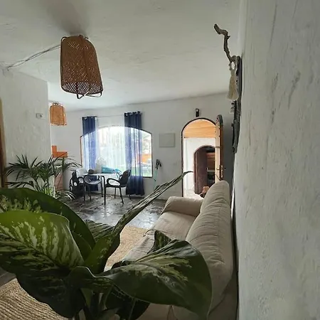 Oaxaca - Casa Tortuga